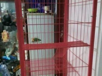 北京地區(qū)八成新貓咪用品組合優(yōu)惠轉讓
